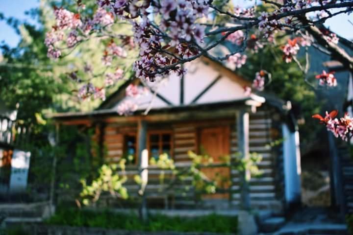 Cabanas Montebello Inn Creel Zewnętrze zdjęcie